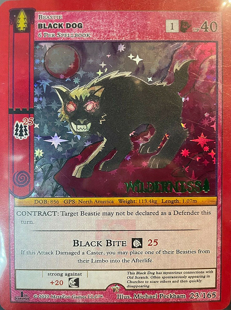 Black Dog - 23/165