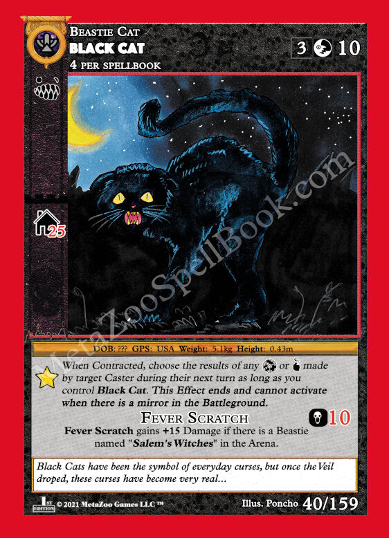 Black Cat - 40/159
