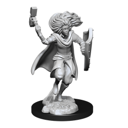 WizKids DND Unpainted Male Changeling Cleric (2 count)