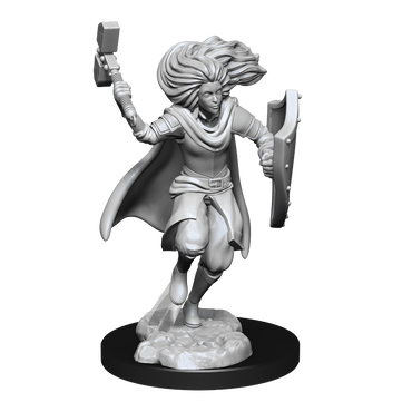 WizKids DND Unpainted Male Changeling Cleric (2 count)