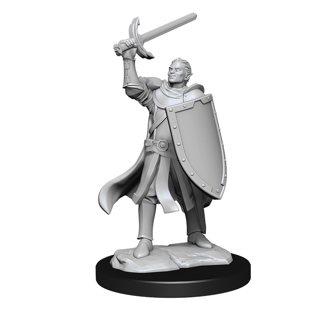 WizKids DND Unpainted Male Half-Elf Paladin (2 count)