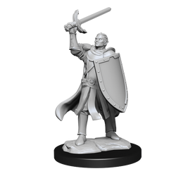 WizKids DND Unpainted Male Half-Elf Paladin (2 count)