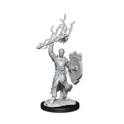 WizKids DND Unpainted Male Half-Elf Paladin (2 count)