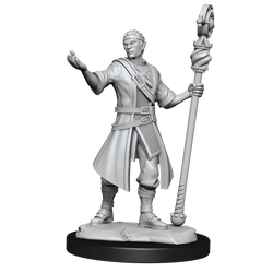 WizKids DND Unpainted Male Half-Elf Wizard (2 count)