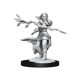 WizKids DND Unpainted Female Human Druid (2 count)