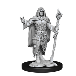 WizKids DND Unpainted Male Human Druid (2 count)