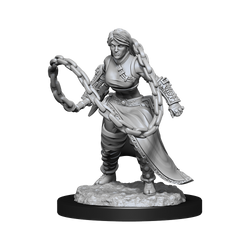 WizKids DND Unpainted Female Human Monk (2 count)