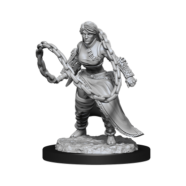 WizKids DND Unpainted Female Human Monk (2 count)