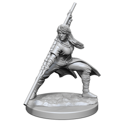 WizKids DND Unpainted Female Human Monk (2 count)