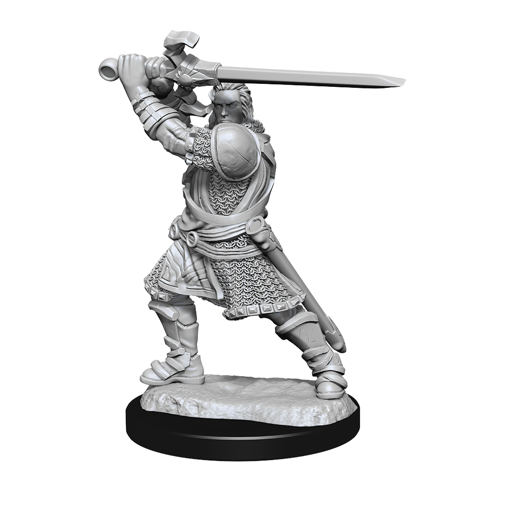 WizKids DND Unpainted Male Human Paladin (2 count)