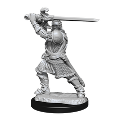 WizKids DND Unpainted Male Human Paladin (2 count)