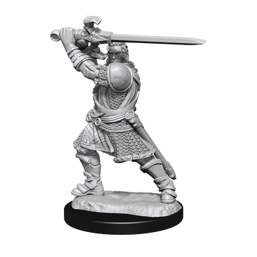 WizKids DND Unpainted Male Human Paladin (2 count)