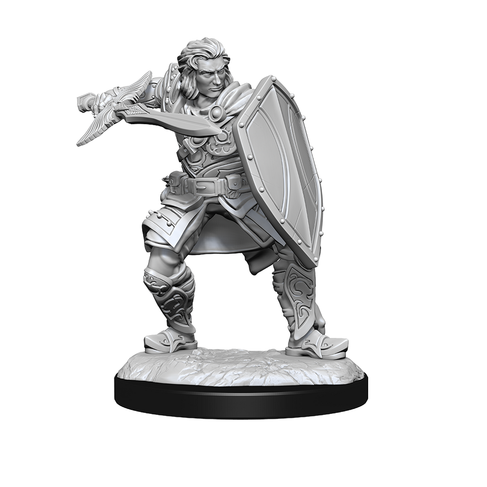 WizKids DND Unpainted Male Human Paladin (2 count)