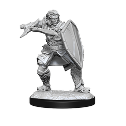 WizKids DND Unpainted Male Human Paladin (2 count)