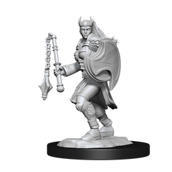 WizKids DND Unpainted Female Kalashtar Cleric (2 count)