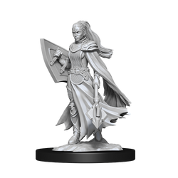 WizKids DND Unpainted Female Kalashtar Cleric (2 count)