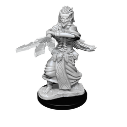 WizKids DND Unpainted Night Hag/Dusk Hag (2 count)