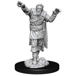 WizKids DND Unpainted Scarecrow/Stone Cursed (2 count)