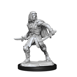 WizKids DND Unpainted Warforged Rogue (2 count)