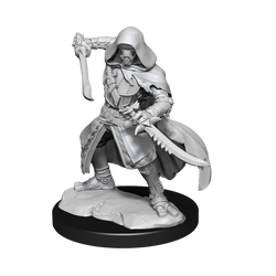 WizKids DND Unpainted Warforged Rogue (2 count)