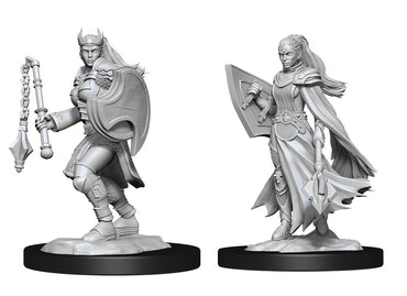 WizKids DND Unpainted Female Kalashtar Cleric (2 count)