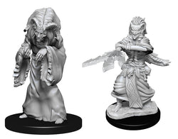 WizKids DND Unpainted Night Hag/Dusk Hag (2 count)